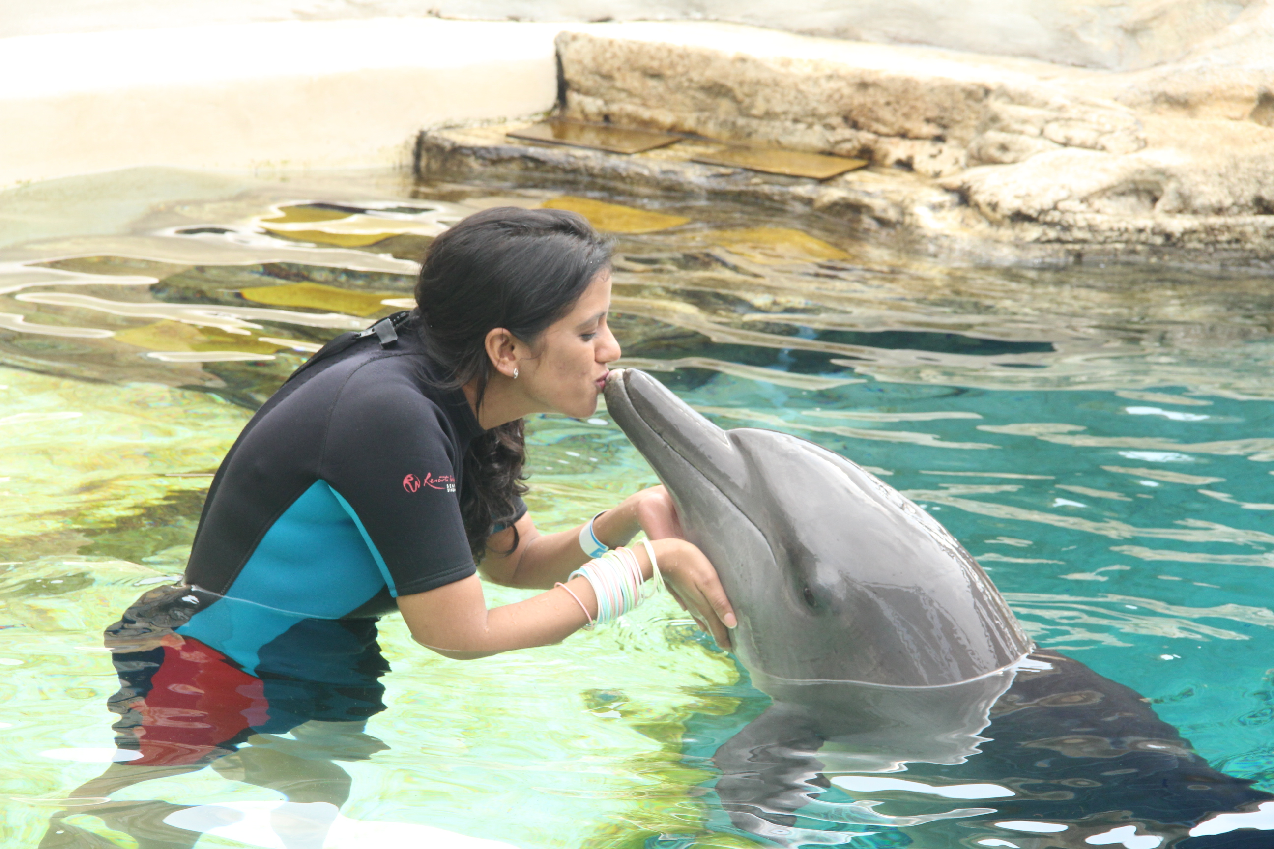 Me and Dolphin